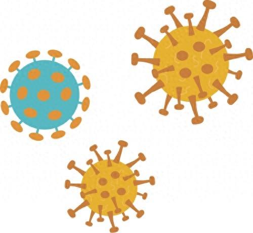 尿管怎么固定在家如何护理导尿管？_https://www.jmylbn.com_新闻资讯_第1张
