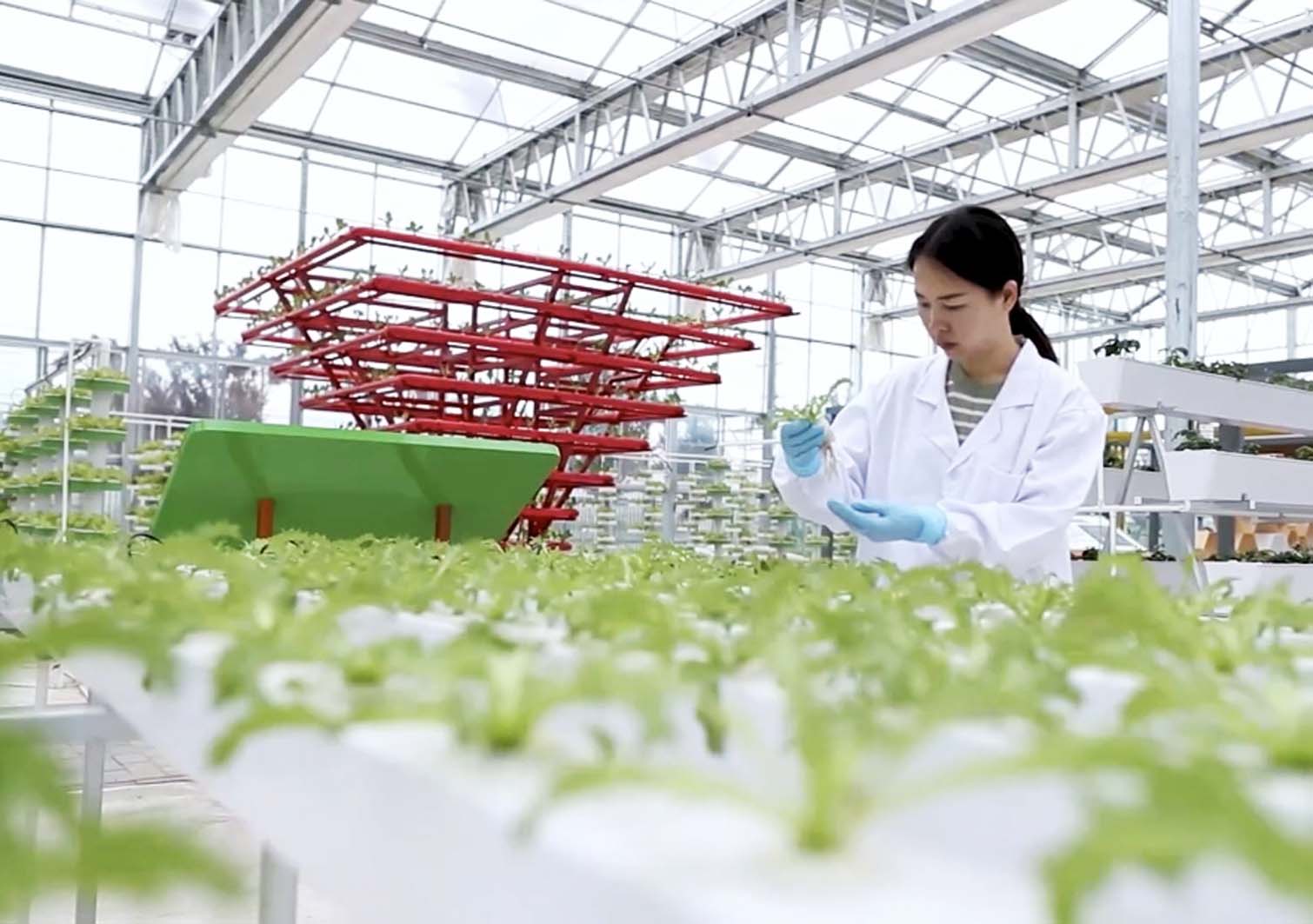 陈源浩 摄扬州网讯(通讯员 殷晨怡 记者 陈源浩) 穿过风淋室,除掉衣物