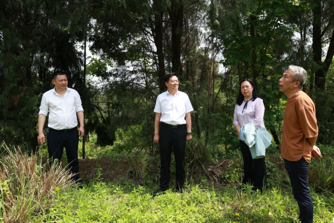 袁胜良调研文旅产业发展|邵阳县_新浪财经_新浪网