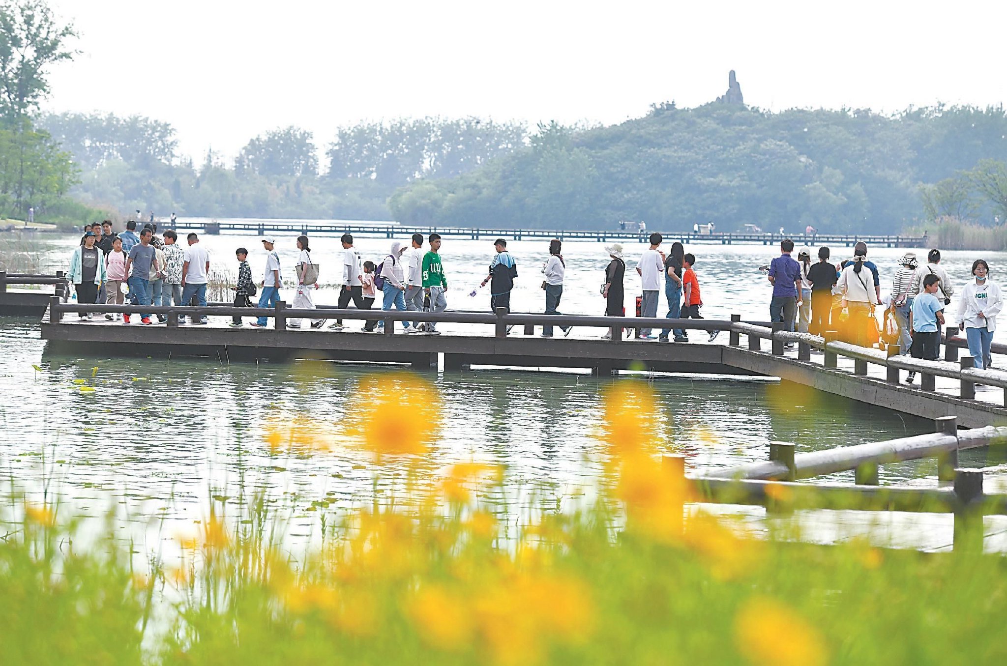 长淮当歌,皖北如何唱响文旅"好声音"?