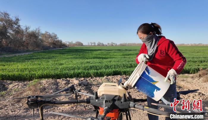 新疆兵团乡村振兴中的"飞手"夫妻|无人机_新浪财经_新浪网