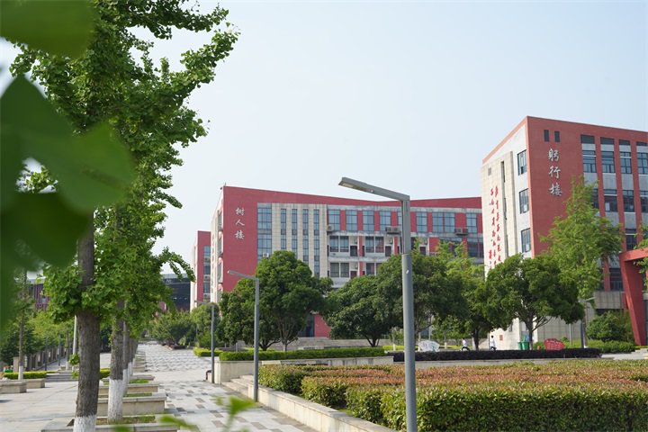 市柳林中学:有一种率先垂范,叫作"校长扎根课堂"