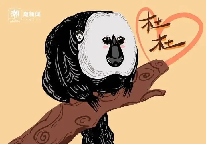 "zoo walk"为啥火了?