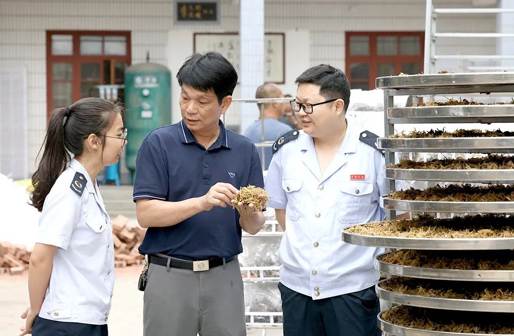 视觉荟萃|税惠添动能 服务暖人心_新浪财经_新浪网