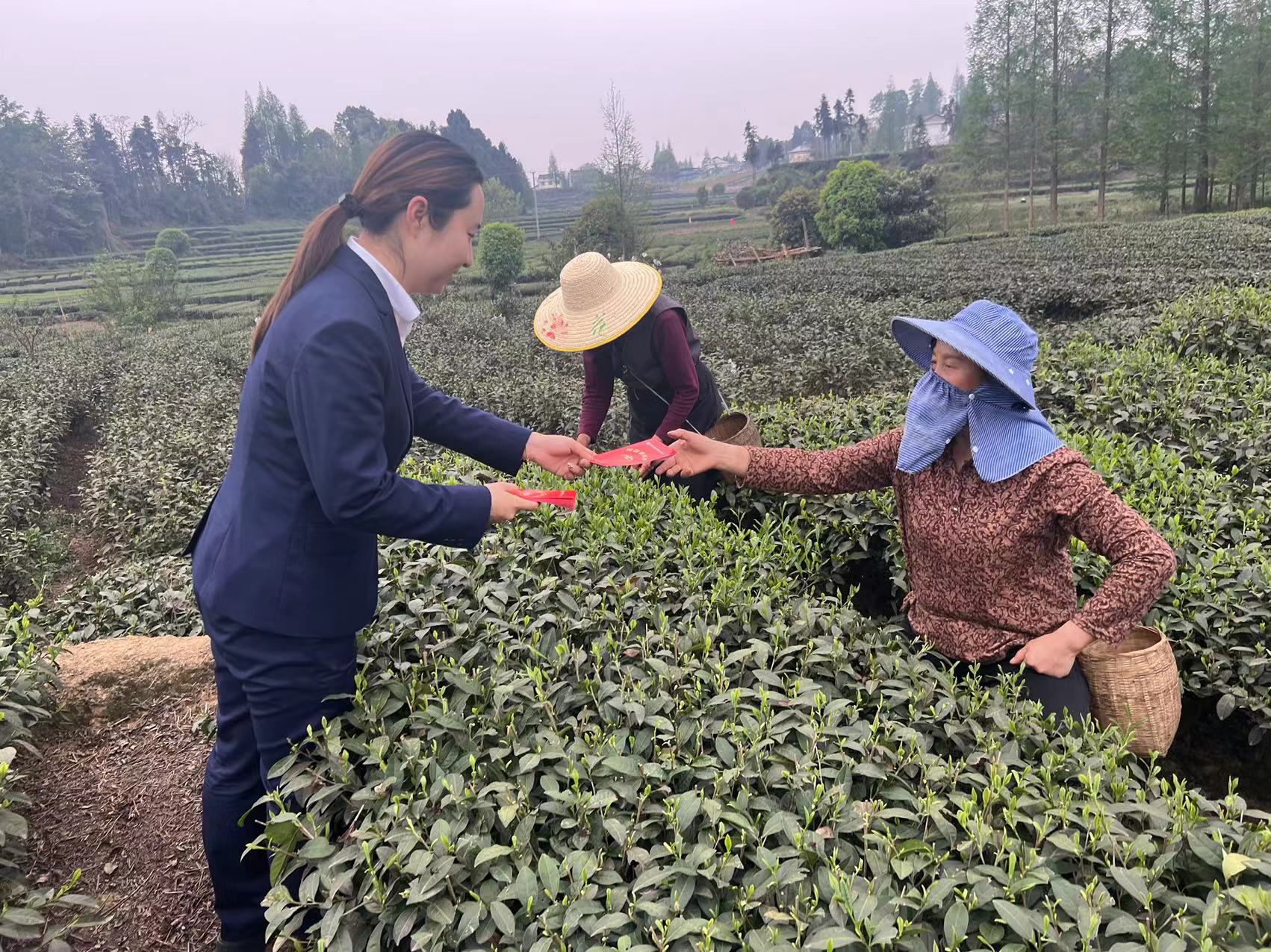 人民银行眉山市分行开展"现金服务上茶山"专项行动