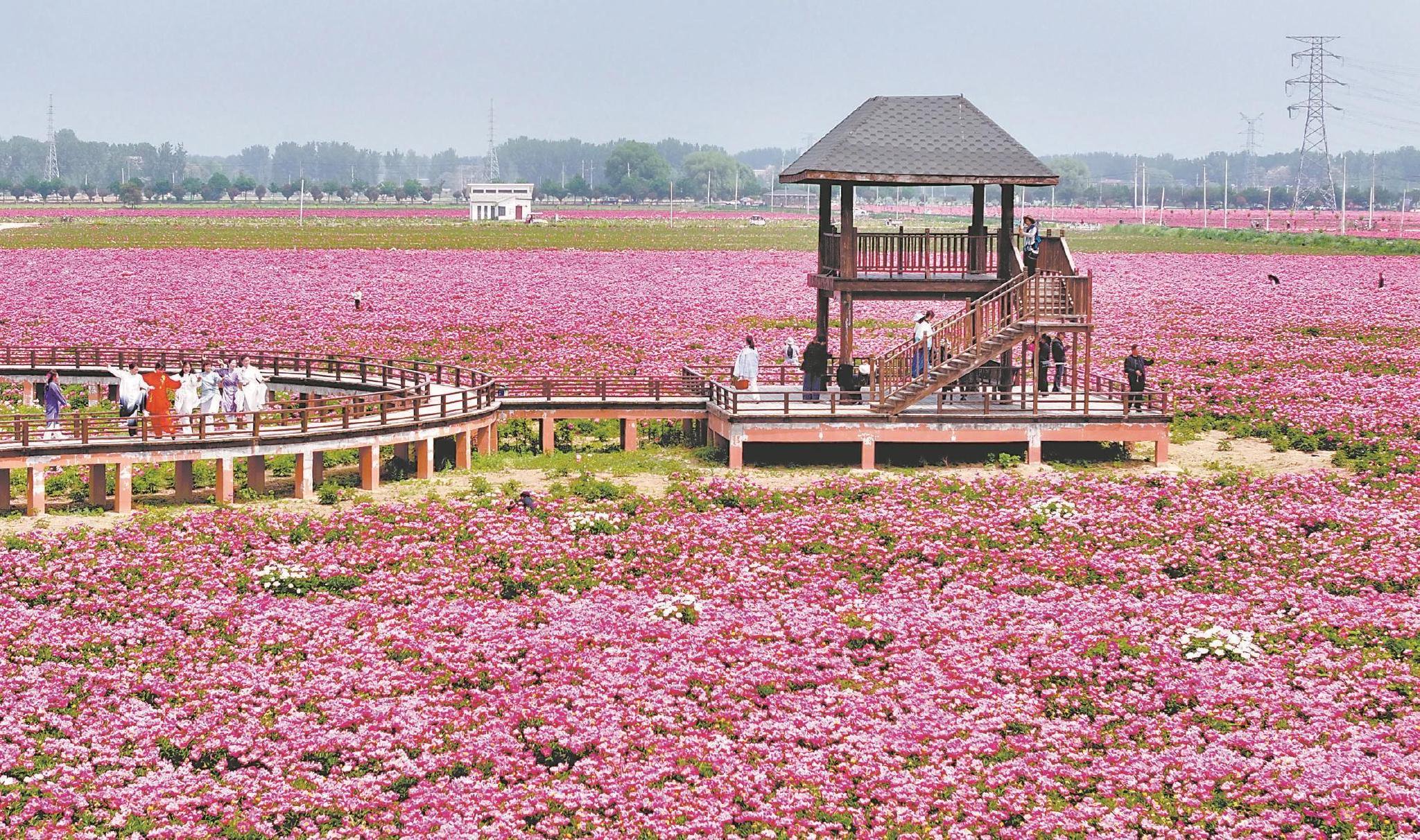 本报通讯员 刘勤利 摄人们在阜阳市颍州西湖游玩.