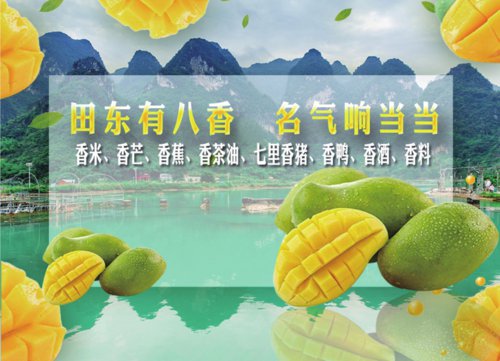 田东有八香 名气响当当