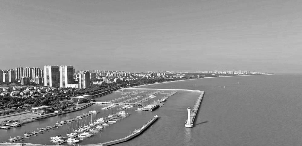 助力更高水平自贸试验区建设