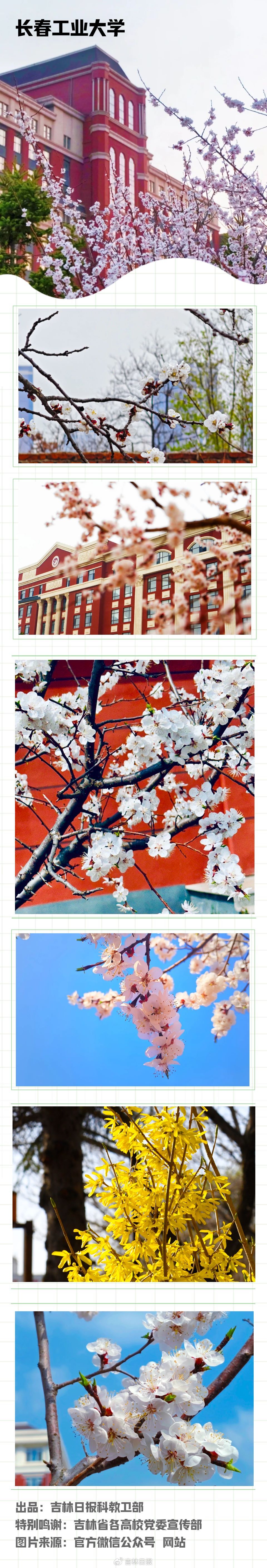 春花校园 | @长春工业大学 请查收专属春季相册