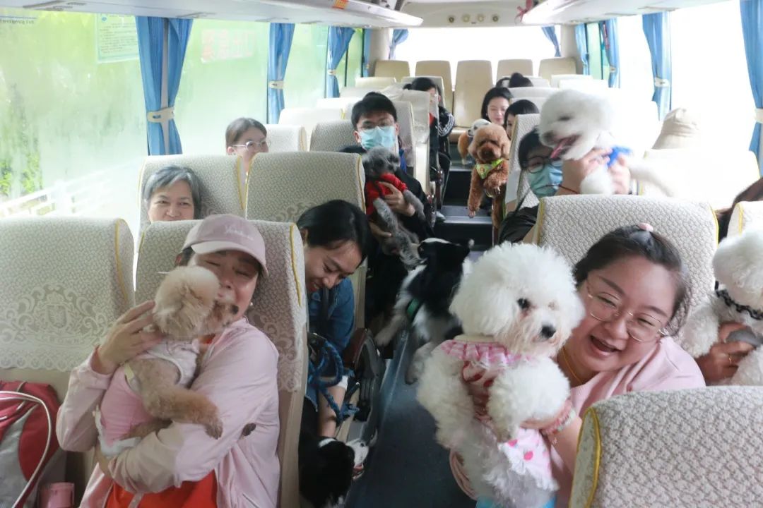 5万报宠物旅行团,包机出国游,萌宠生意有多赚?