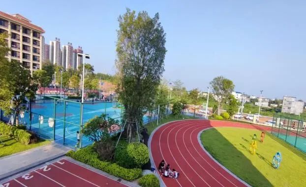 一所倍受关注和青睐的学校|钦州市_新浪财经_新浪网