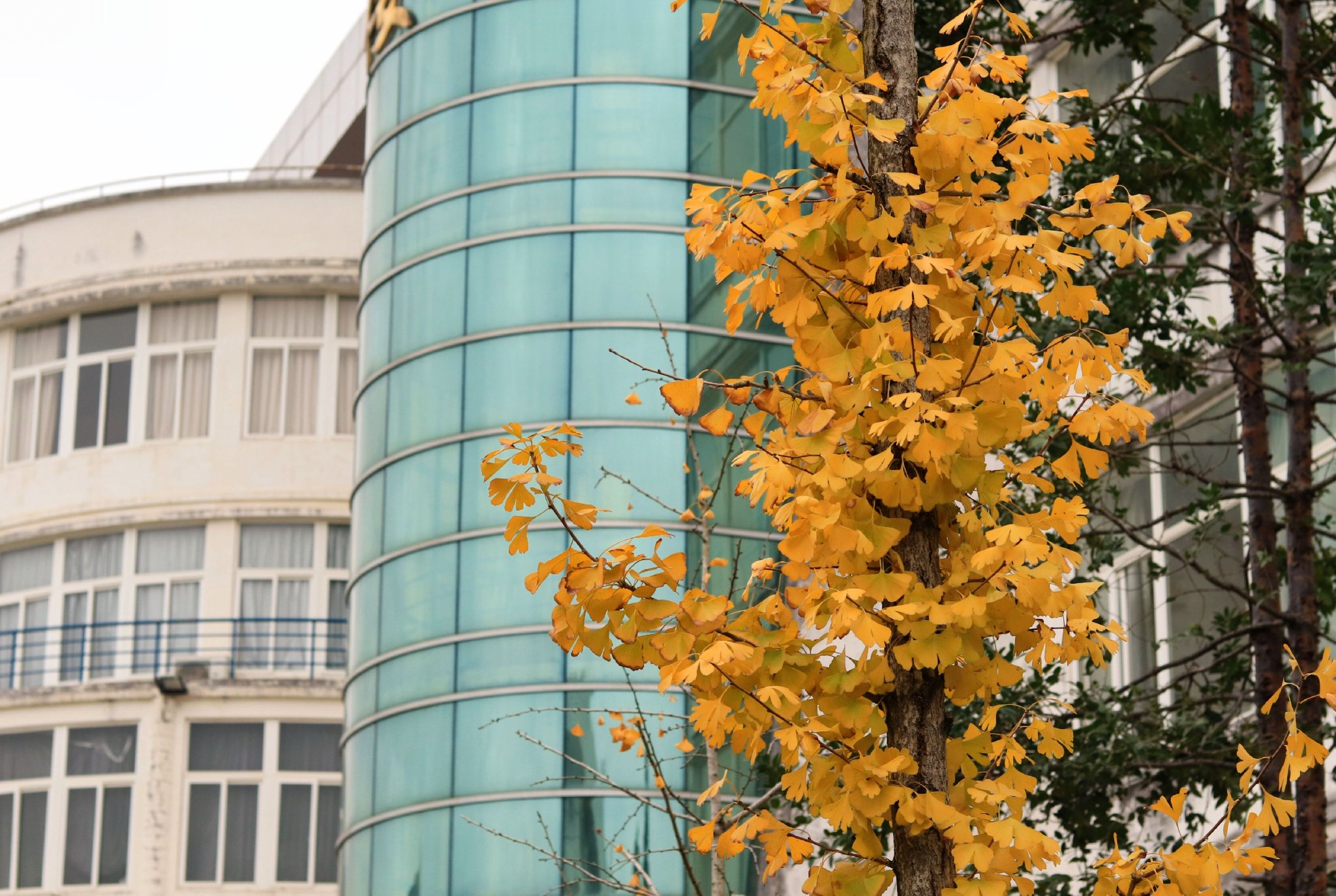 上了!福建农林大学!_新浪财经_新浪网