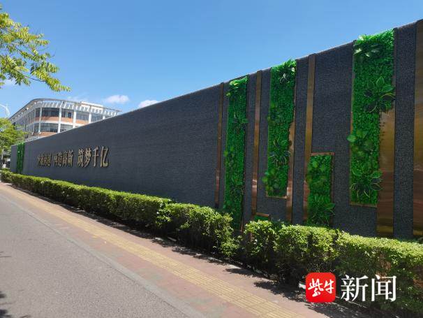 太仓娄东街道:提升施工工地围挡品质,营造城市文明"风景线"