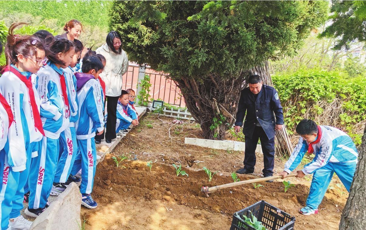 5月6日,葫芦岛市第二实验小学开展以种植为主题的劳动实践活动.