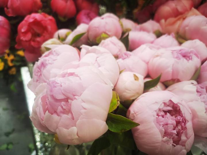 当母亲节遇上护士节,鲜花店和蛋糕店开始忙,芍药,康乃馨上c位