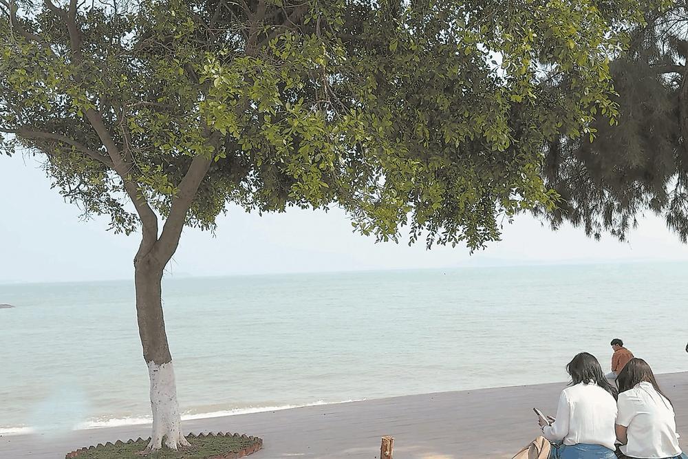 初夏入厦 环岛漫步