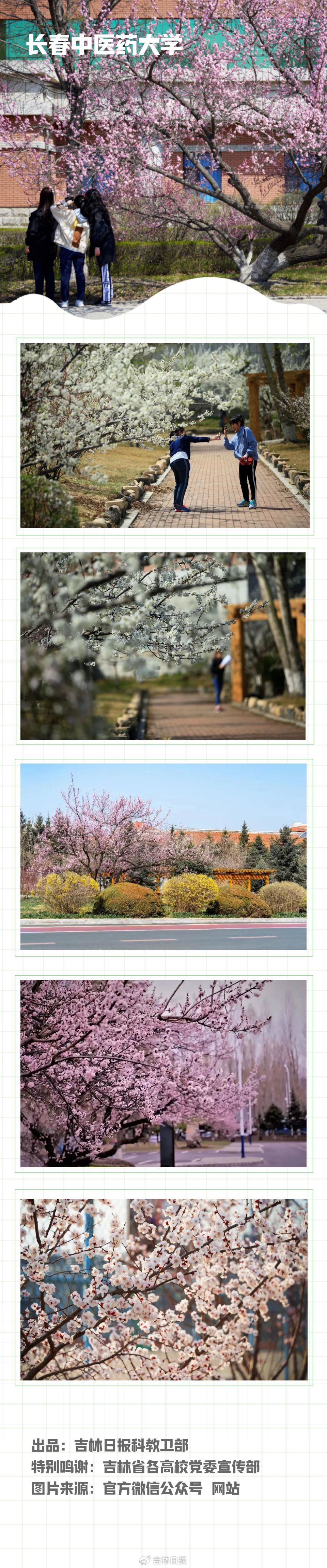 春花校园 | @长春中医药大学 请查收专属春季相册
