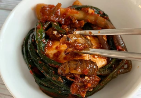 美籍韩裔厨师推出“蝉泡菜”，将蝉放入辛辣发酵液中腌制，韩网友意见两极