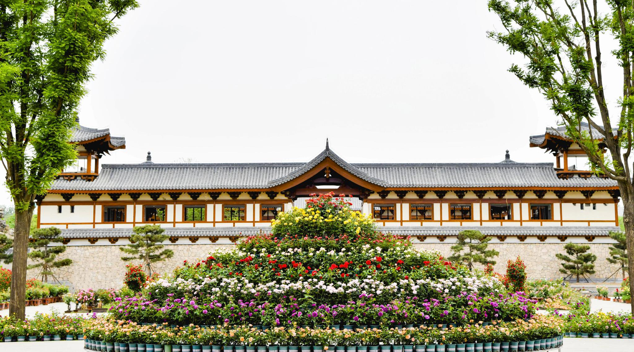 月季周遇上众春园