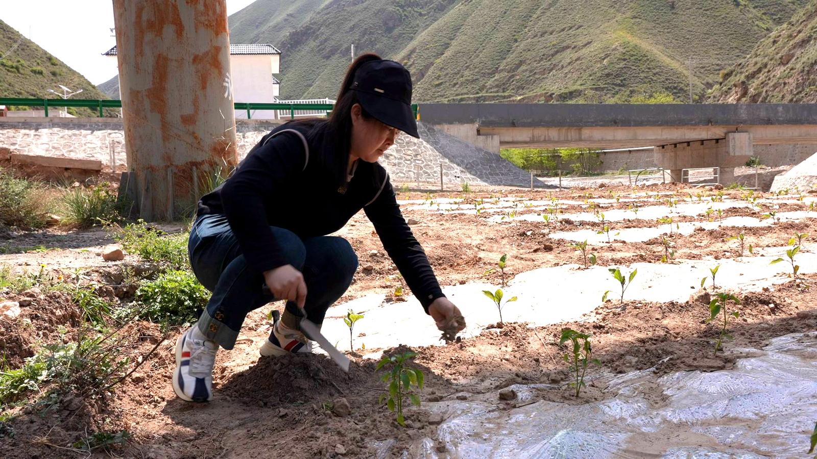 【母亲节特辑】张春燕:用行动诠释母爱的伟