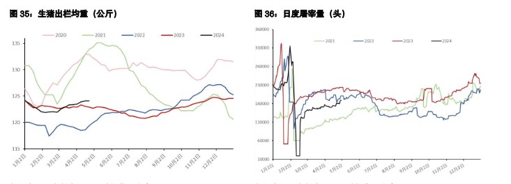 关联品种生猪所属公司：五矿期货
