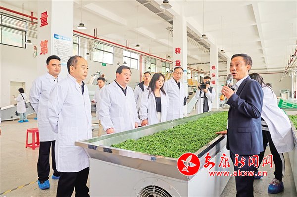 绿叶对根的情意——访汉滨区农业农村局党委书记,局长人选王小龙