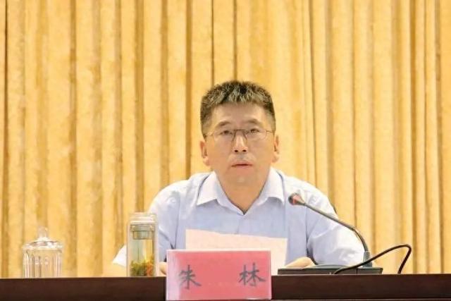 安徽凤阳县委书记朱林,晋升滁州市委常委