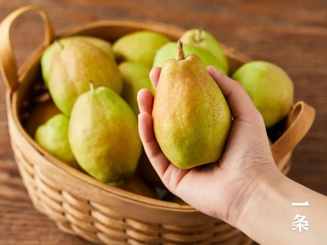 梨不同的是,它还有着"未见其果,先闻其香"的神奇魅力,馥郁的清香刚入