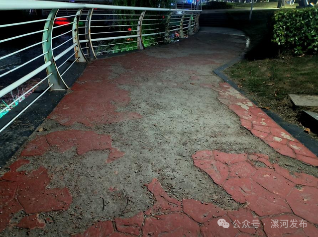 67我是创文啄木鸟丨今天曝光11个问题