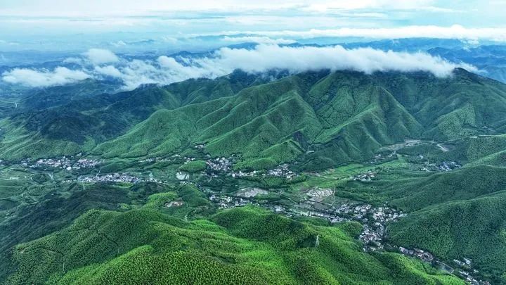 十年磨一剑 论剑莫干山——从"三个转变"看中国品牌十年升级路
