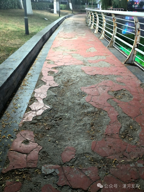 67我是创文啄木鸟丨今天曝光11个问题