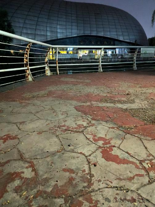 67我是创文啄木鸟丨今天曝光11个问题