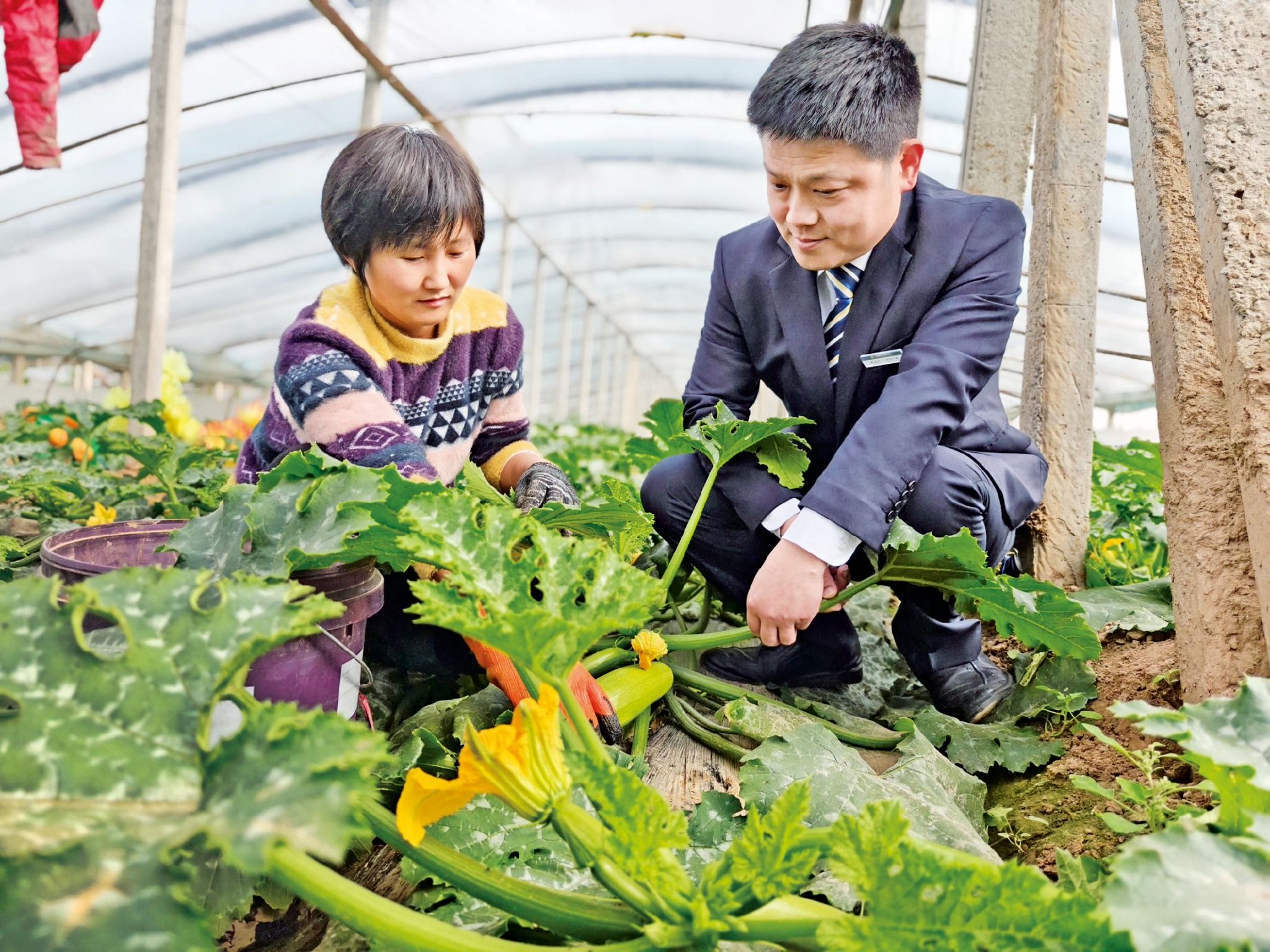 书写齐鲁普惠金融大文章