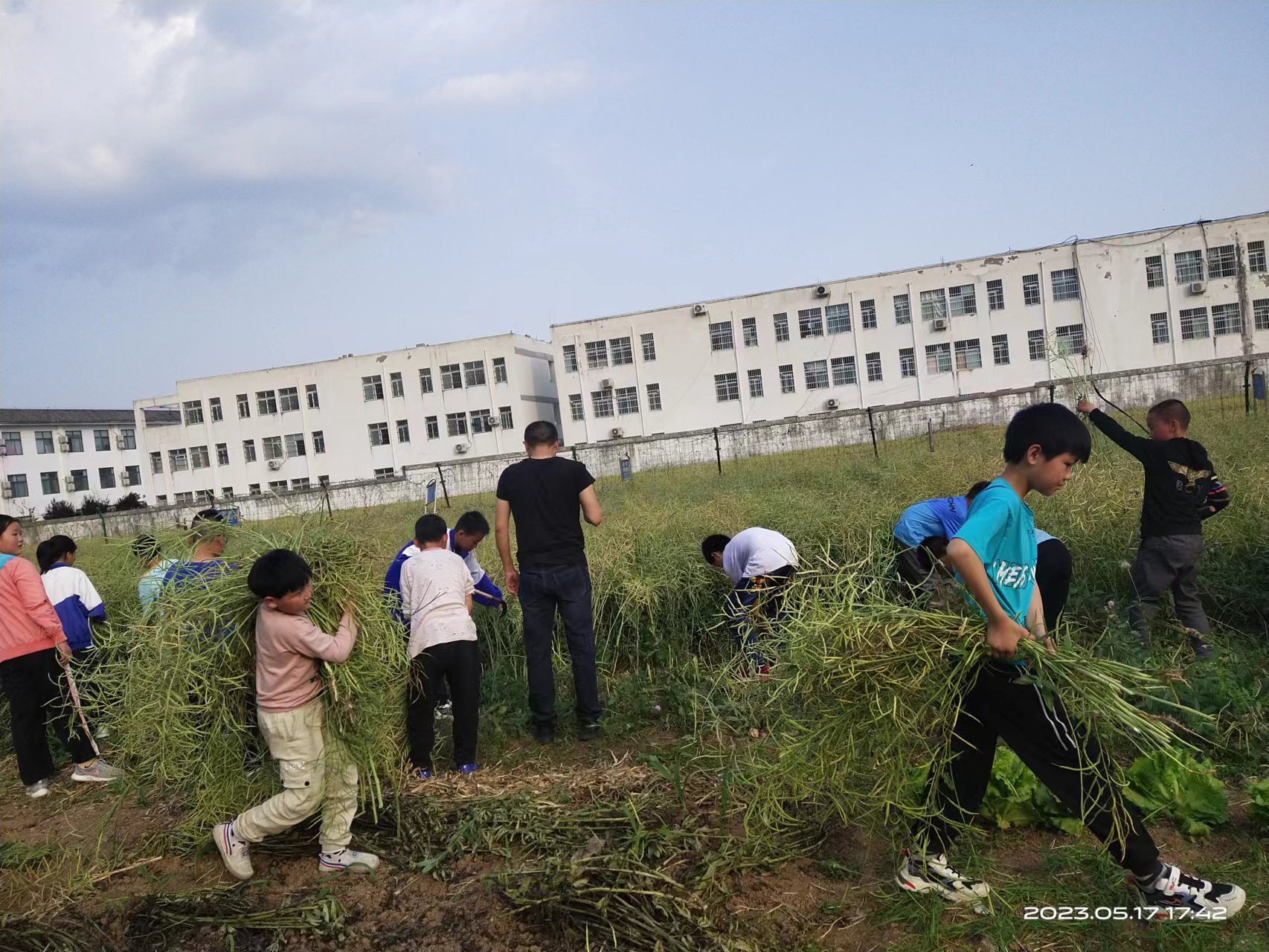 学生在劳动实践基地活动.