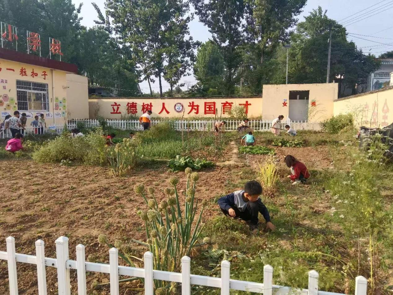 石门乡各学校开展劳动教育侧记