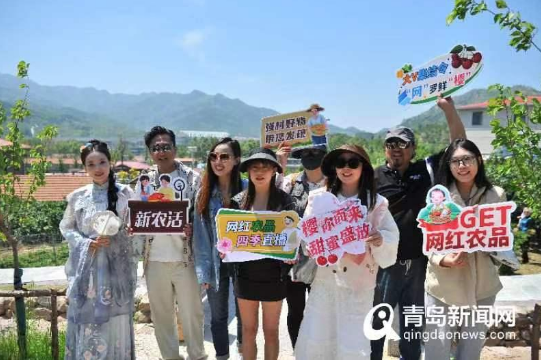 青岛农品的甜蜜邀约——"网红农品 四季直播"走进崂山北宅樱桃节