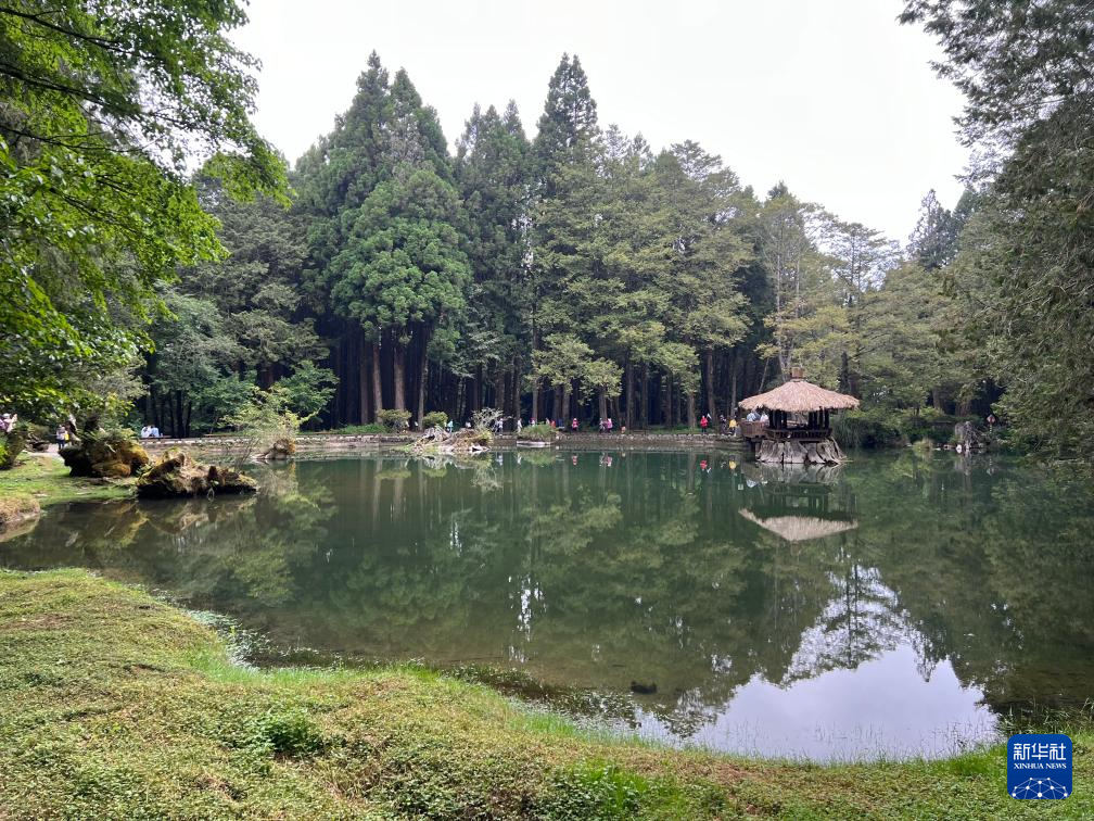绿意盎然阿里山