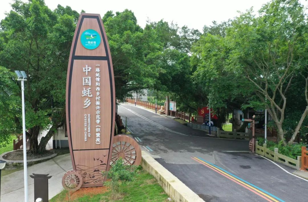 优秀!阳西深入实施"百千万工程"见成效