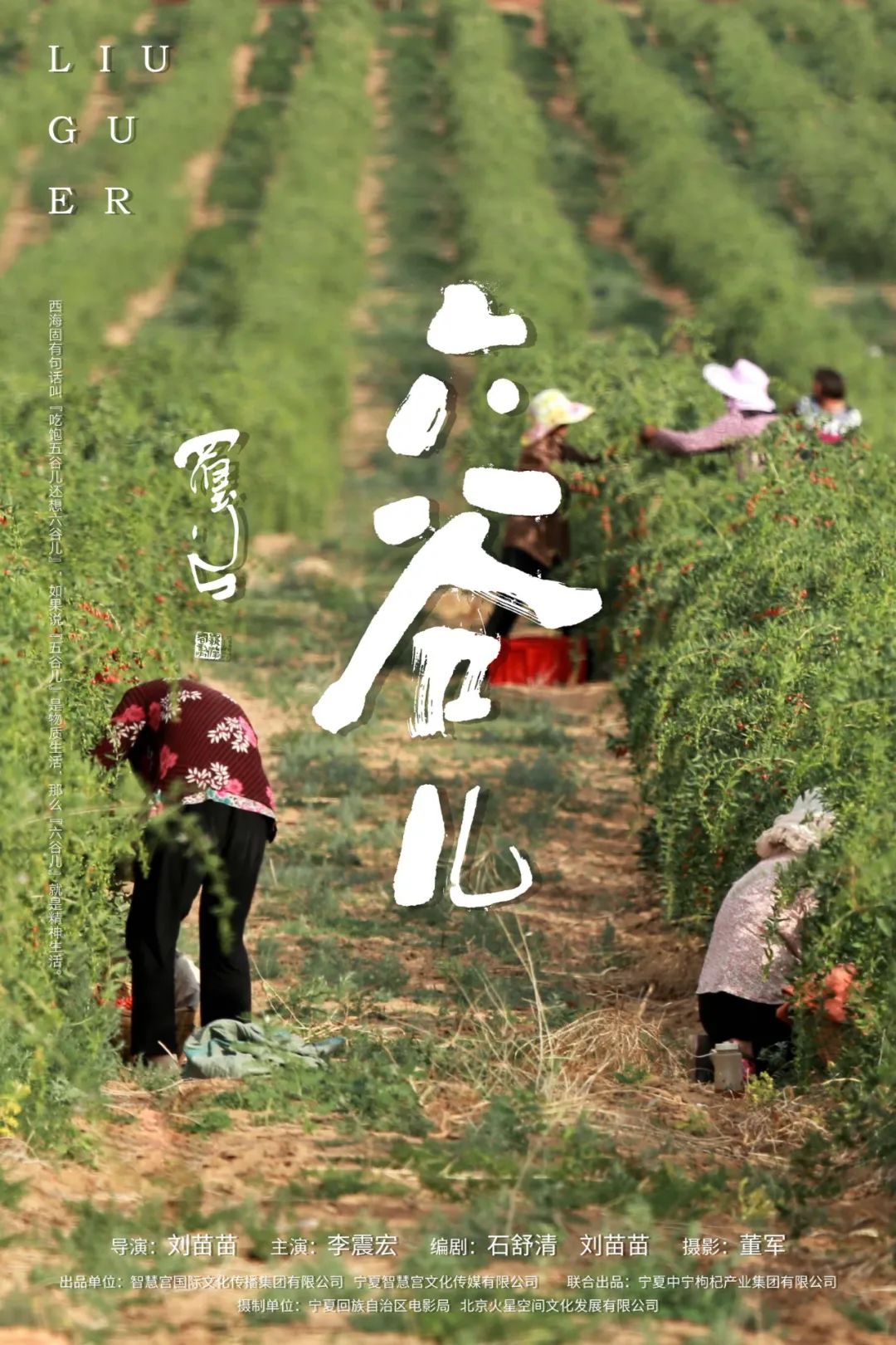 海报丨唱响乡村振兴华美乐章  电影《六谷儿》宁夏首映