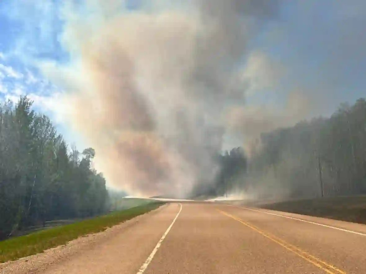 加拿大西部野火致纳尔逊堡超3000居民疏散