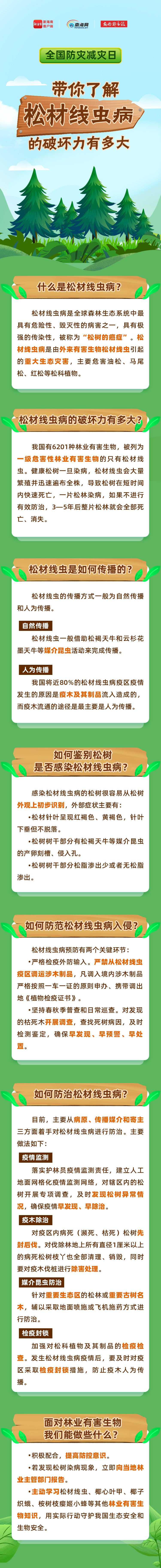 全国防灾减灾日,带你了解松材线虫病的破坏力有多大