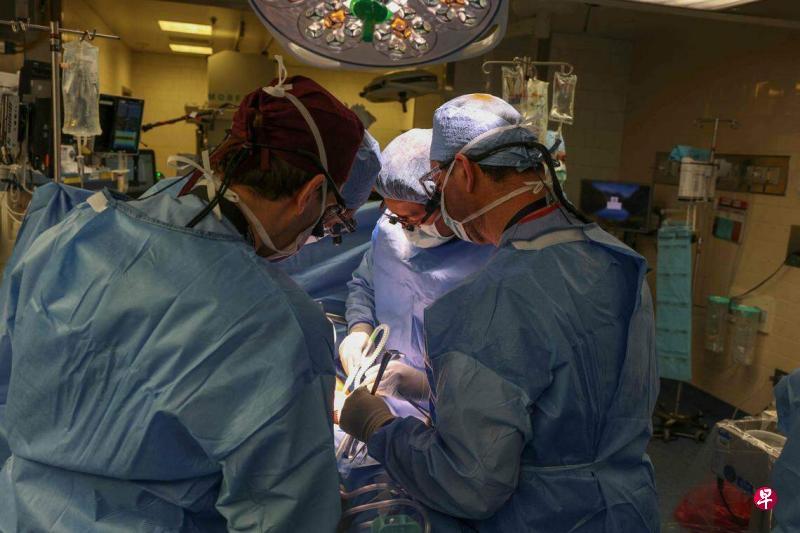 ▲纽约一家医院工作人员从集装箱中取出一个经过转基因的猪肾