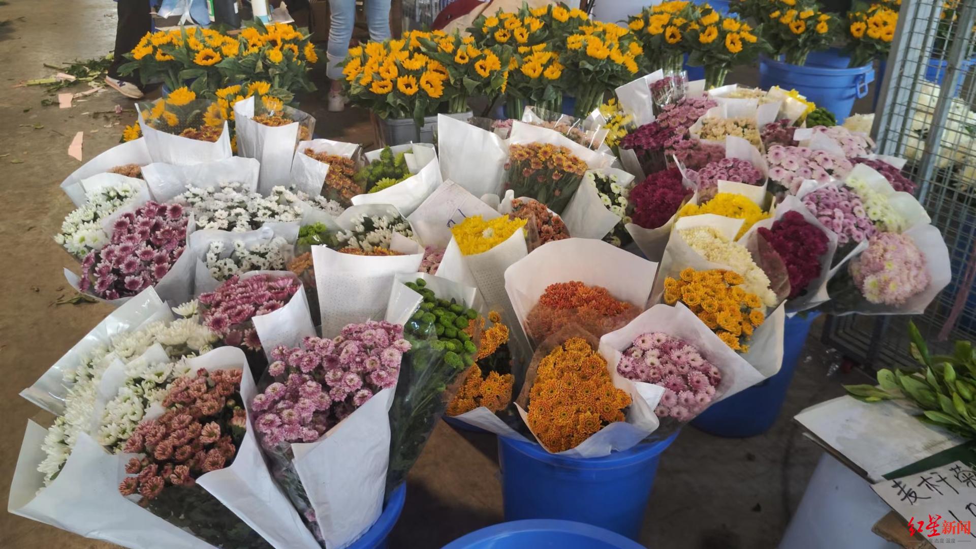 红星新闻记者采访了成都市部分零售花店,鲜切花市场的批发