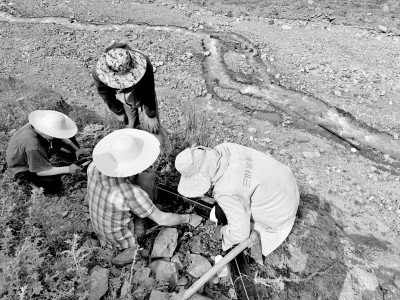 团队成员在研究区进行野外土壤采样。资料图片