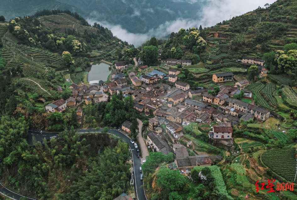 游走好县|"最后的江南秘境"松阳:民宿之外,被"拯救"的古村老屋如何