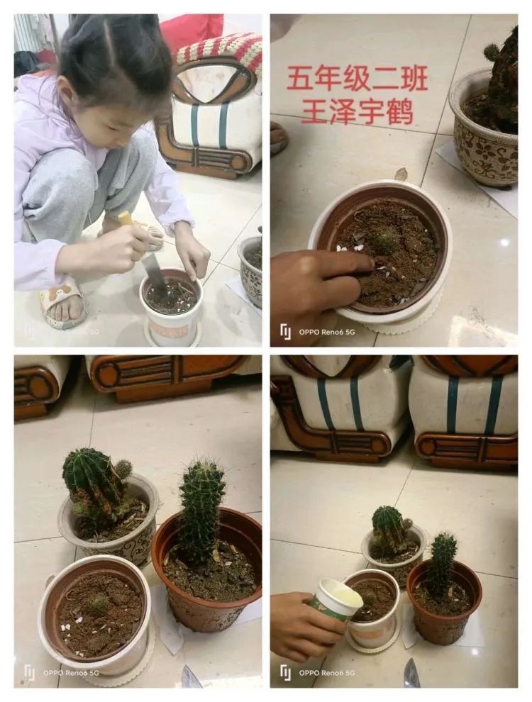 灞桥区宇航小学五一劳动实践活动之五年级