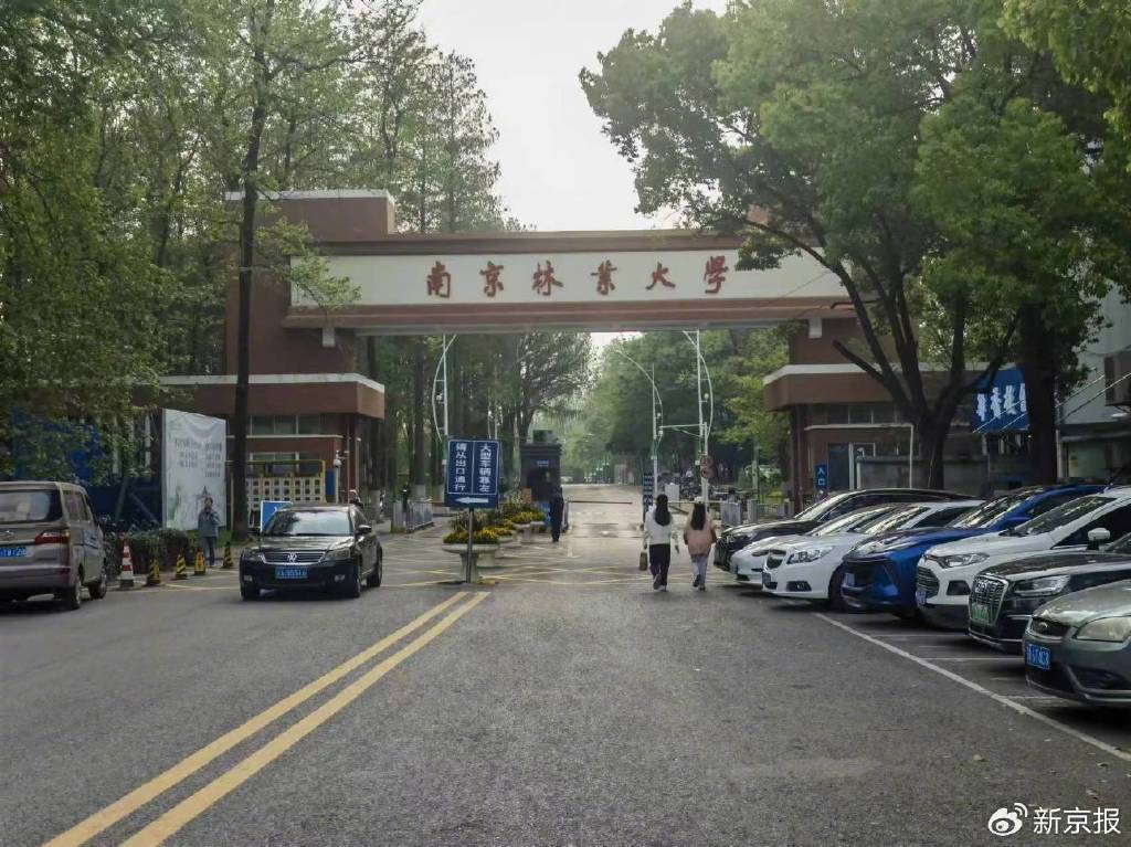 南京林业大学青年教师自杀, 知情人:未降级,曾长期患抑郁症