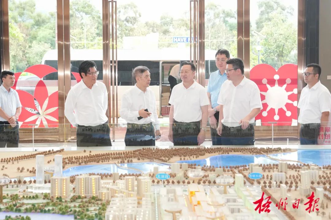 李振品在苍梧龙圩调研时要求:全力以赴抓项目强产业稳增长|梧州市