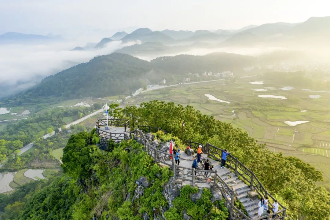 新夏绿意浓,"氧吧"之旅等你来|清远生态摄影周报