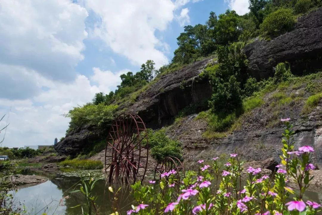 去一趟中山黄圃,为了这山与"海"!